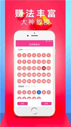 王中王一肖中特期準，深度解析與探索，王中王一肖中特期準，深度解析與探索揭秘