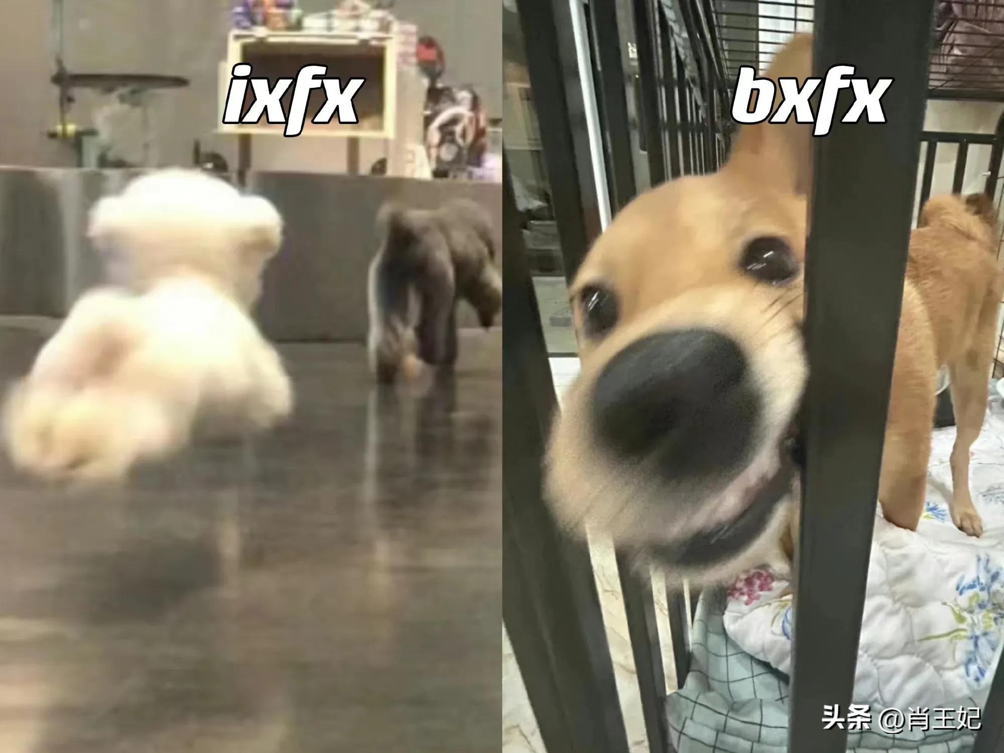 一肖中2碼1的秘密與SEO優(yōu)化策略探討，一肖中2碼1的秘密與SEO優(yōu)化策略深度解析