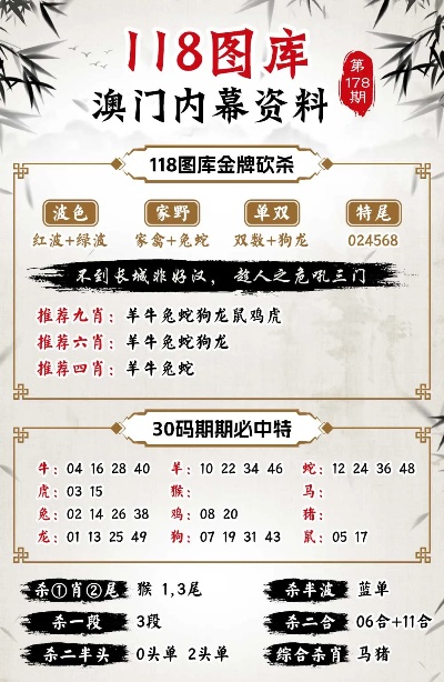 新澳新澳門正版資料，探索與解析，新澳新澳門正版資料深度解析與探索