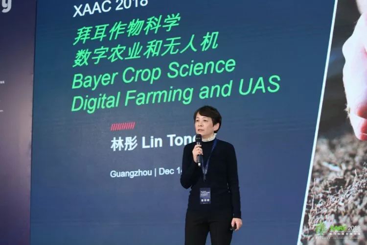揭秘7777788888精準(zhǔn)新傳真，一切你所需要知道的，揭秘精準(zhǔn)新傳真，你所需要知道的關(guān)于77777與88888的一切秘密