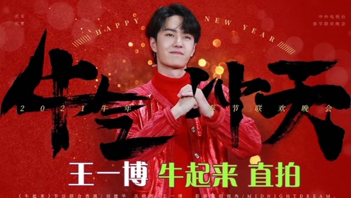 揭秘王中王，一肖中特的獨(dú)特魅力與背后的秘密，揭秘王中王，一肖中特的獨(dú)特魅力與背后奧秘
