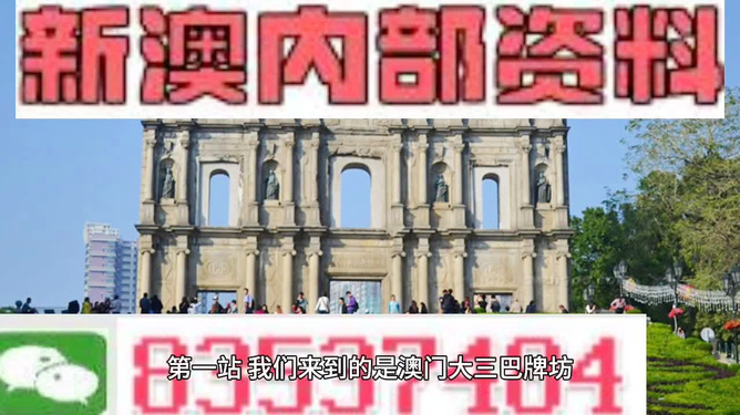 澳門正版資料大全資料，深度探索與理解，澳門正版資料大全深度解析與探索
