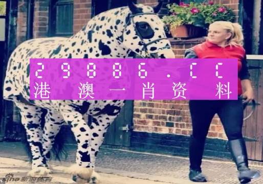香港王中王一肖中特論壇，探索與解析，香港王中王一肖中特論壇，深度探索與解析