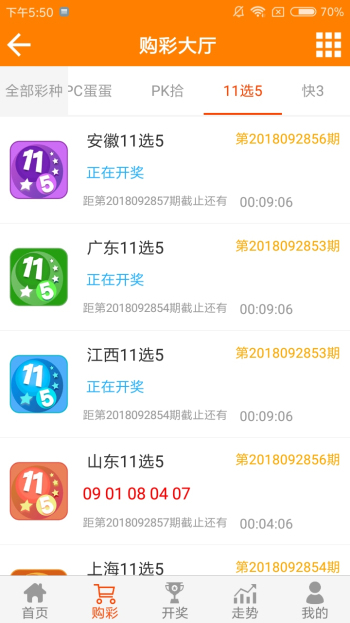 王中王中特一肖，探索與解析，王中王中特一肖，深度探索與解析