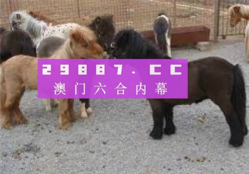 馬會王中王平特一肖論壇，深度探討與SEO優(yōu)化策略，馬會王中王平特一肖論壇，深度探討SEO優(yōu)化策略