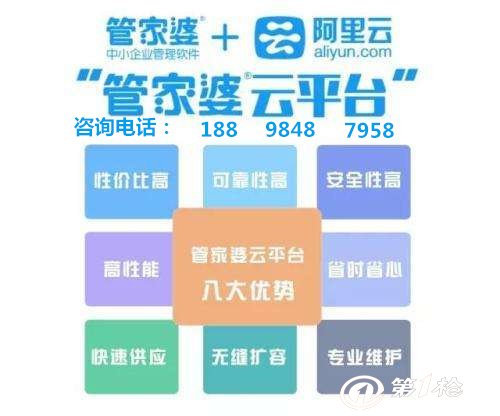 管家婆與一肖王中王，揭秘背后的神秘面紗，揭秘管家婆與一肖王中王的神秘面紗