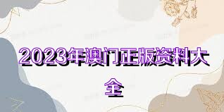 澳門正版免費(fèi)全年資料大全旅游團(tuán)，探索澳門魅力的絕佳選擇，澳門正版全年旅游資料大全，探索澳門魅力的旅游團(tuán)首選