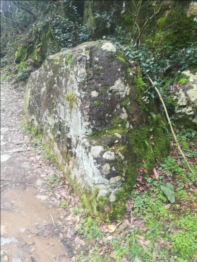 劉伯溫四不像動物一肖圖，神秘預言與文化的交融，劉伯溫四不像動物一肖圖，神秘預言與文化交融的探秘