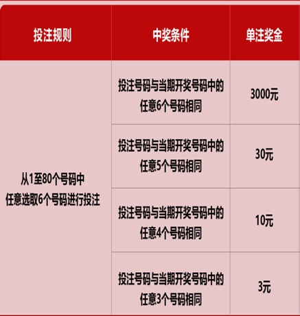 新澳門六開彩天天開獎結(jié)果，探索彩票背后的秘密，澳門六開彩揭秘，每日開獎背后的秘密探索