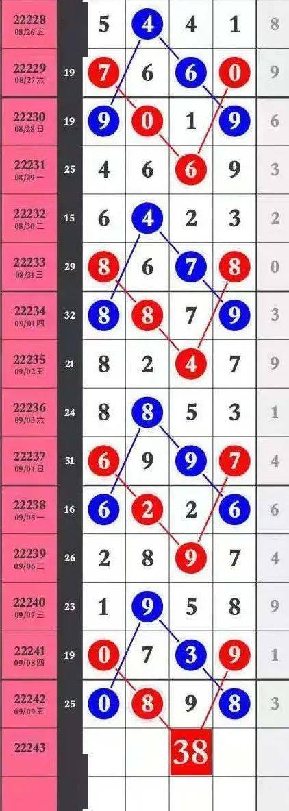 王中王一肖，特馬之謎與一尾之秘，王中王一肖揭秘特馬之謎與一尾之秘