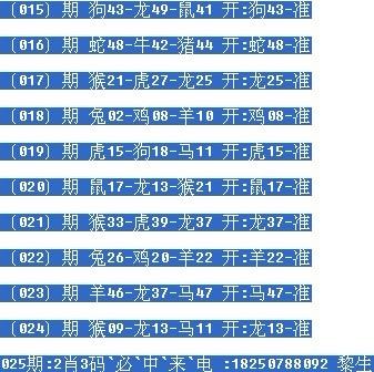 一肖中碼的概率，深度解析與SEO洞察，一肖中碼概率深度解析與SEO洞察揭秘