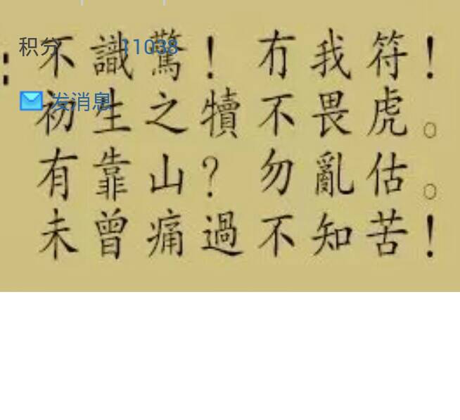 劉伯溫高手論壇45646com，一句話解讀生肖奧秘，劉伯溫高手論壇揭秘生肖奧秘，一句話解讀45646com