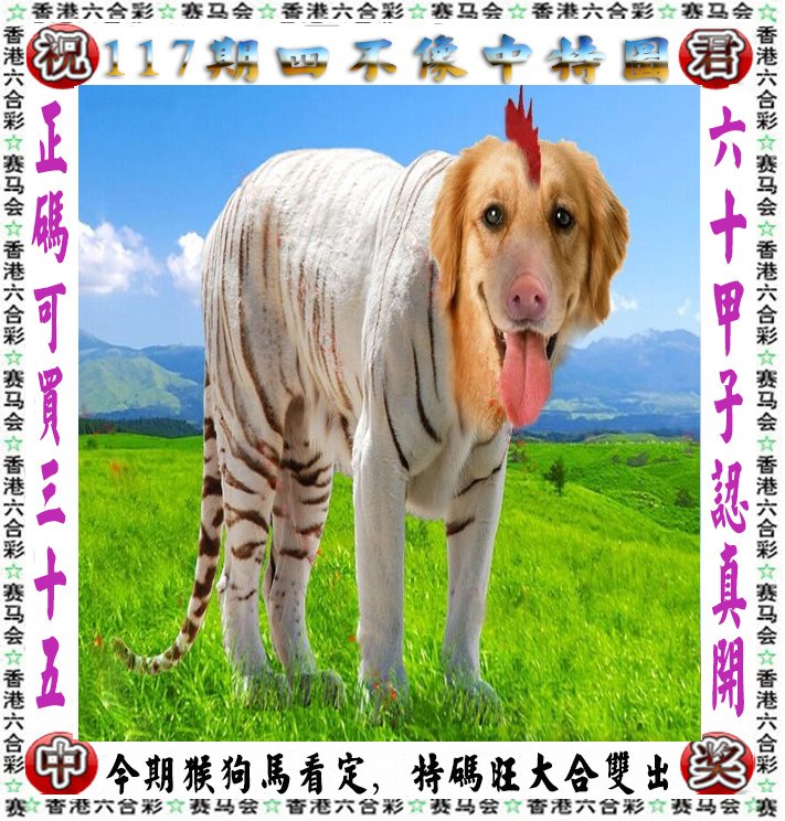 王中王四不像一肖論壇