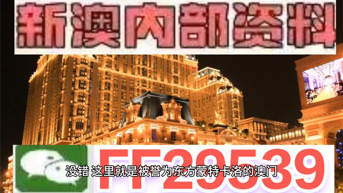 澳門特馬今晚開獎香港，探索彩票背后的故事與未來展望，澳門特馬與香港彩票，背后的故事與未來展望