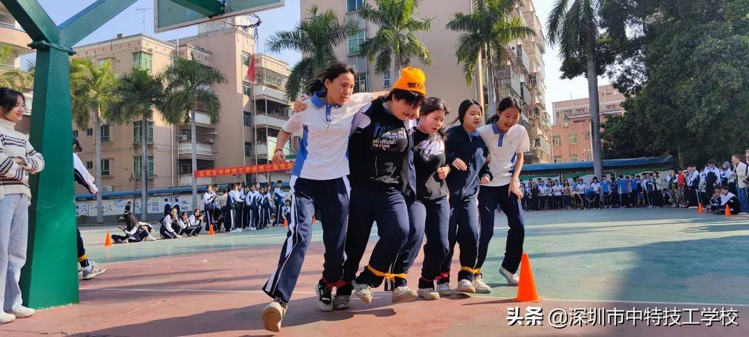香港最準六肖中特期期準特下載，揭秘彩票預(yù)測真相與策略，揭秘香港最準六肖彩票預(yù)測真相與策略，期期準特下載指南