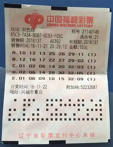揭秘2016平特一肖王中王，背后的秘密與策略，揭秘，2016平特一肖王中王背后的秘密與策略解析
