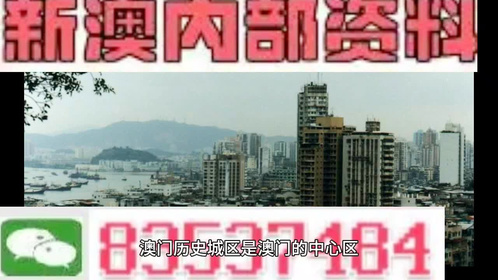 2025年澳門精準免費大全——探索未來的澳門特色與機遇，澳門未來展望，特色機遇與精準免費大全揭秘（2025版）