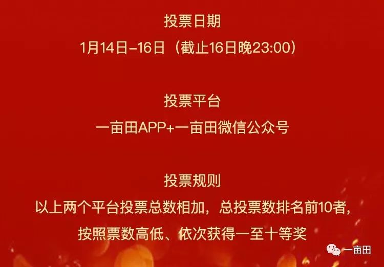 澳門六下彩12O欺開獎結(jié)果，揭秘彩票背后的秘密，揭秘澳門六下彩開獎背后的秘密，彩票背后的真相與開獎結(jié)果解析