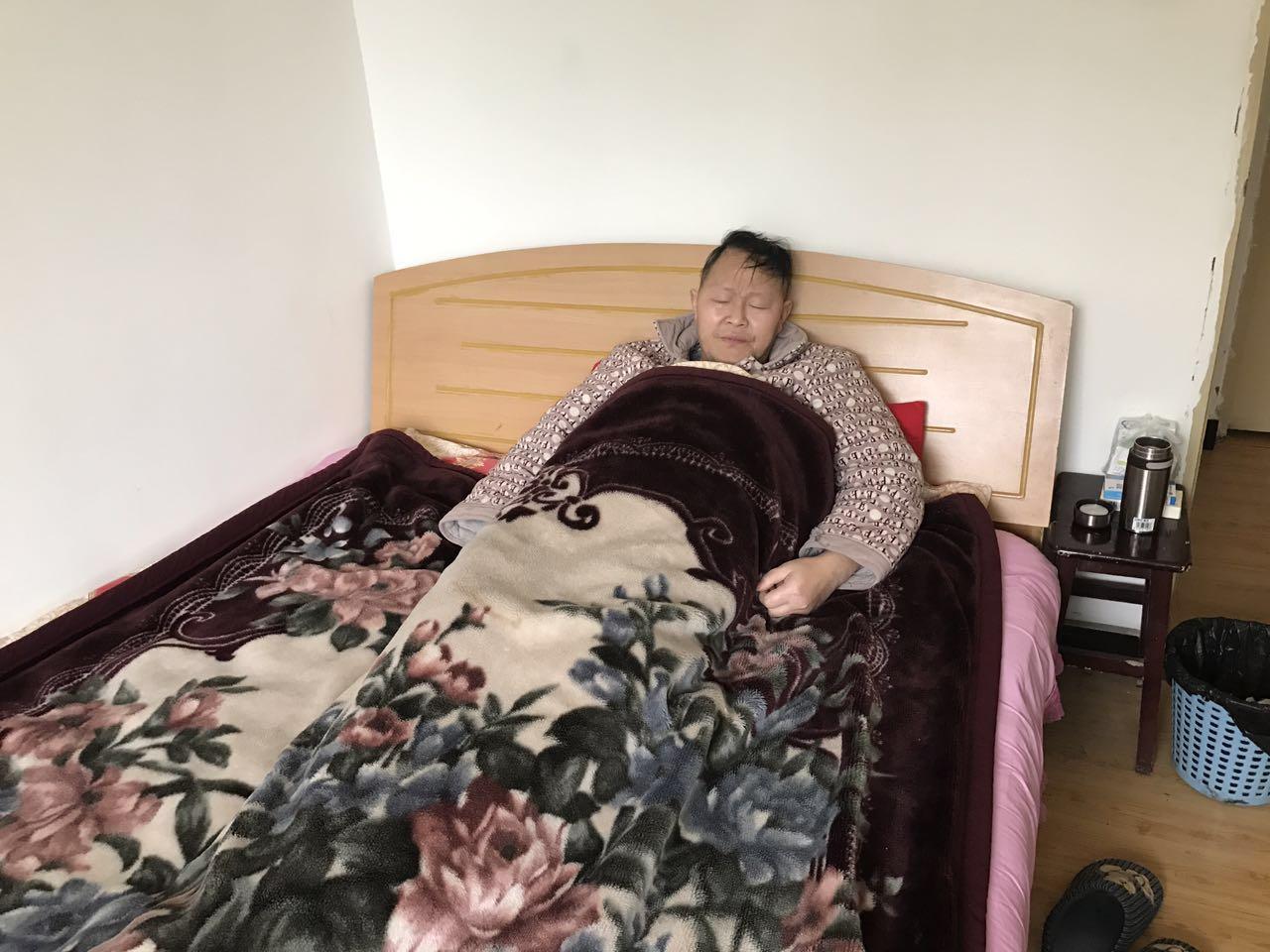 一肖二碼中特的意思——深度解析，一肖二碼中特含義深度解析