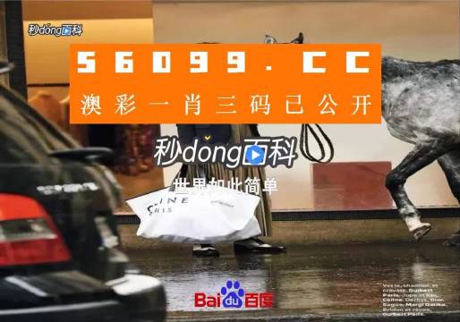 新澳一碼三中三資料，探索與解析，新澳一碼三中三資料解析與探索