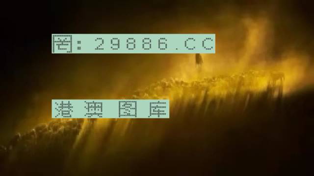 探索域名www王中王平特一肖c.m，背后的故事與SEO策略，揭秘域名www王中王平特一肖c.m背后的故事與SEO策略探索