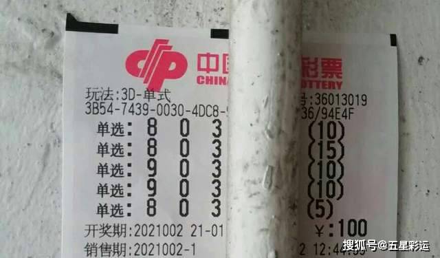 揭秘王中王平特一肖，背后的故事與奧秘，揭秘王中王平特一肖背后的故事與奧秘探秘