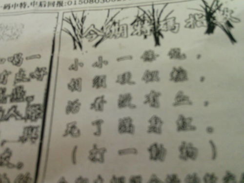 劉伯溫特一肖王中王，傳奇人物與生肖之王的神秘結(jié)合，劉伯溫生肖傳奇，傳奇人物與生肖之王的神秘交融
