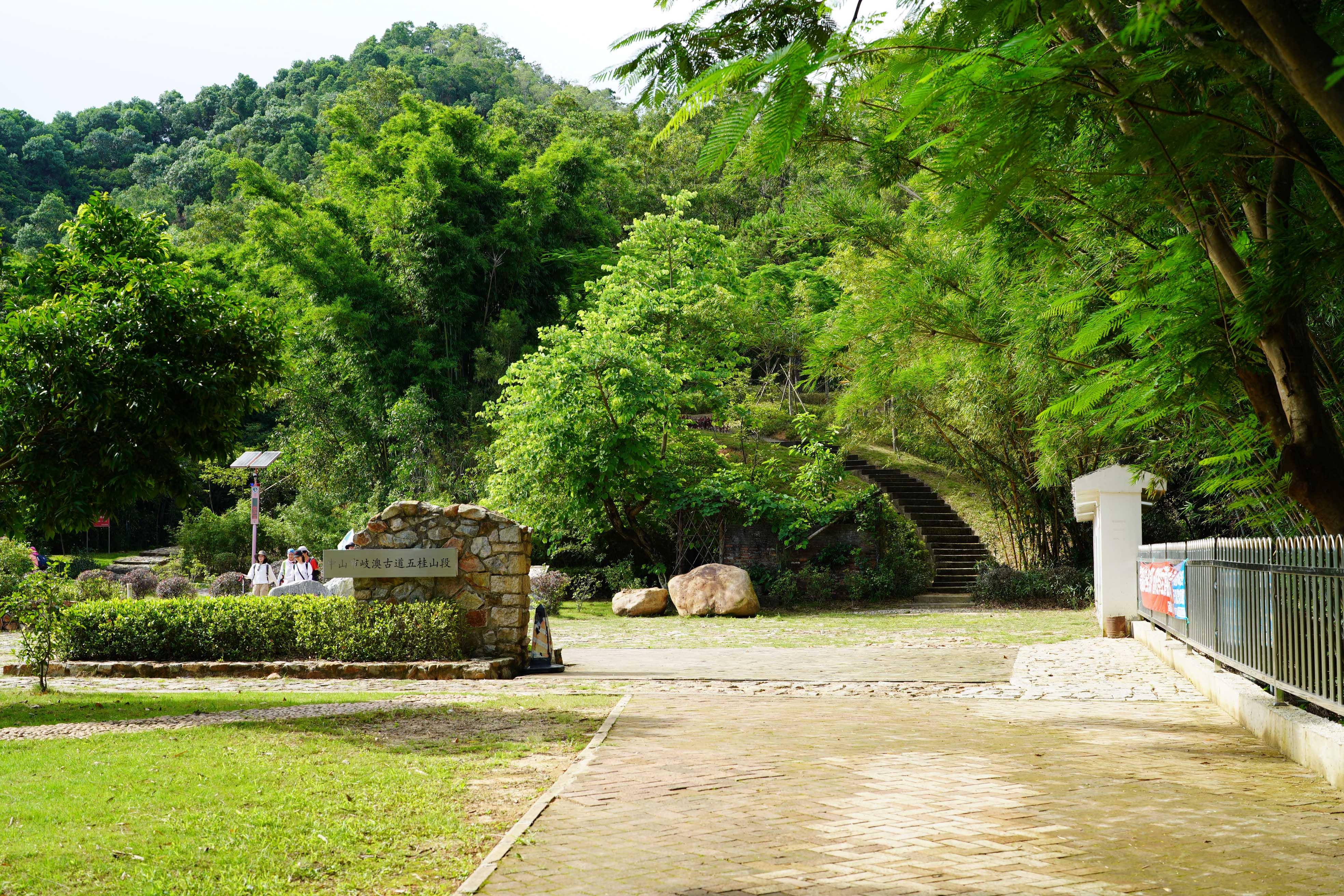 新澳門彩出號綜合走勢圖，探索彩票世界的神秘之門，新澳門彩出號綜合走勢圖，揭秘彩票世界的神秘之門