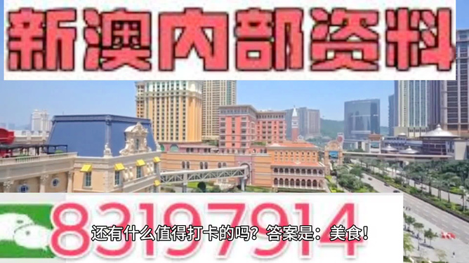 新澳門天天免費精準大全，探索澳門的魅力與機遇，澳門魅力與機遇探索，新澳門天天免費精準大全