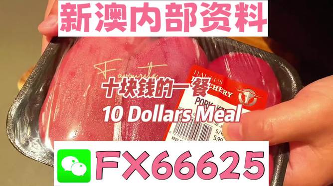 新澳精準(zhǔn)正版資料免費(fèi)，探索與獲取指南，新澳正版資料免費(fèi)探索與獲取指南