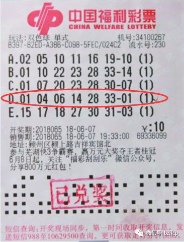奧門彩民，探索博彩文化背后的故事，奧門彩民揭秘博彩文化背后的故事