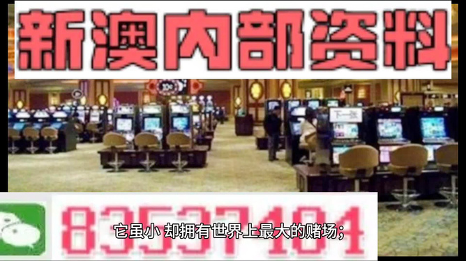 澳門正版免費精準資料，探索與解析，澳門正版免費精準資料深度解析與探索