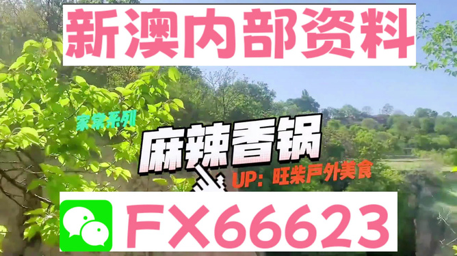 新澳精準(zhǔn)資料免費(fèi)提供，探索與實(shí)踐的指南，新澳精準(zhǔn)資料免費(fèi)分享，探索與實(shí)踐的導(dǎo)航指南