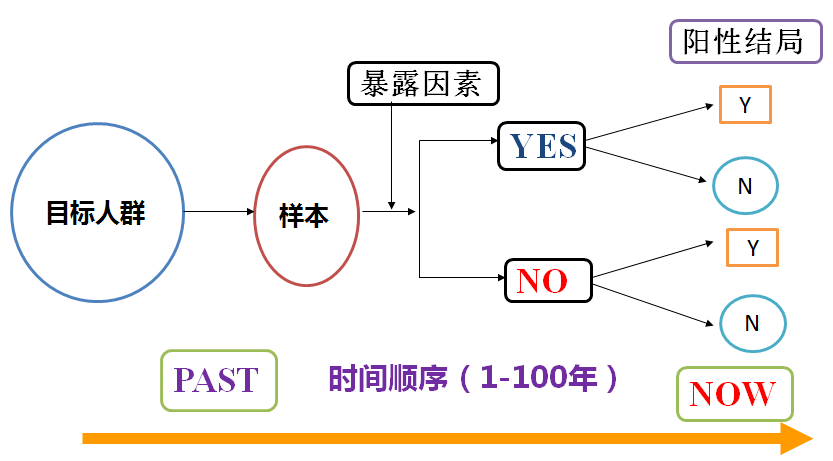 新奧天天正版資料大全，今晚有開仁，全面解析與SEO優(yōu)化策略，新奧天天正版資料大全及SEO優(yōu)化策略解析，今晚開仁全面解讀