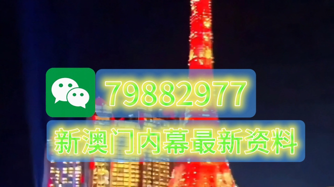 澳門今晚必開一肖一特，揭秘生肖彩票的魅力與策略，澳門生肖彩票揭秘，必開一肖一特的魅力與策略