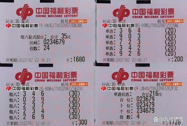 王中王162期指一生肖，深度解析與SEO優(yōu)化，王中王162期生肖深度解析與SEO優(yōu)化策略
