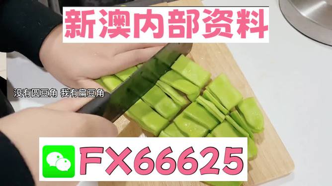 新澳精準(zhǔn)資料免費(fèi)提供，全方位解析與實(shí)用指南，新澳精準(zhǔn)資料大全，免費(fèi)解析與實(shí)用指南
