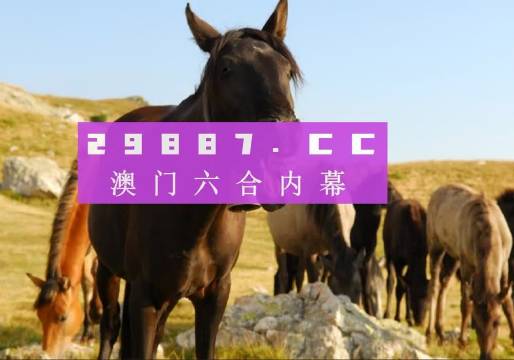 澳門一肖一碼必中一碼管家婆，揭秘彩票秘密，走向成功之路，澳門彩票揭秘，一肖一碼必中秘訣與成功之路探索