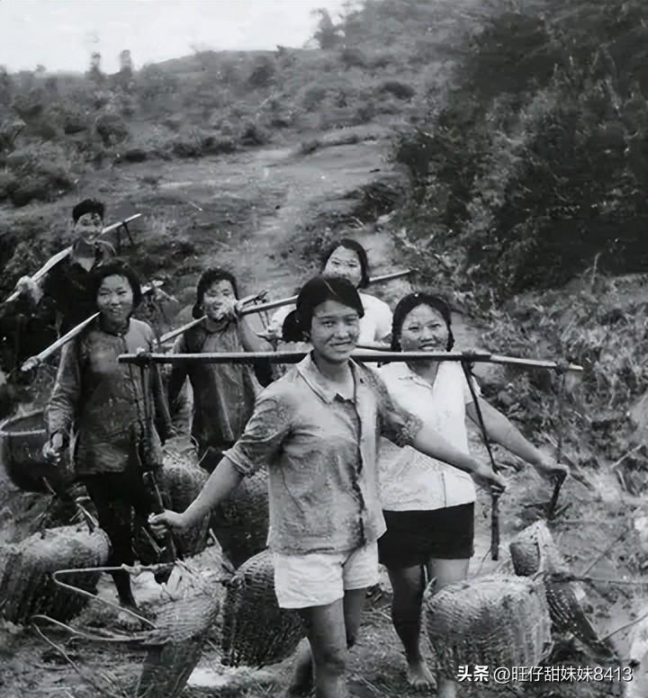 關(guān)于49圖庫(kù)圖片資料的專業(yè)SEO文章，49圖庫(kù)圖片資料的專業(yè)SEO優(yōu)化指南