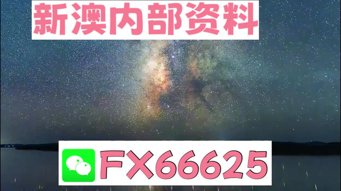 新澳天天開獎資料大全最新版，全面解析與實用指南，新澳天天開獎資料最新版解析與實用指南