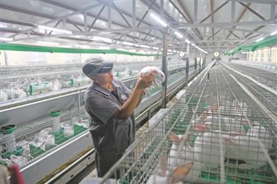 2025年澳資料大全正版資料免費(fèi)獲取指南，2025年澳資料正版免費(fèi)獲取指南