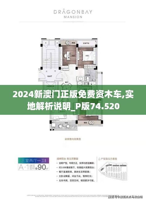 探索澳門，2025新澳門正版免費資源概覽，澳門探索之旅，2025正版免費資源概覽