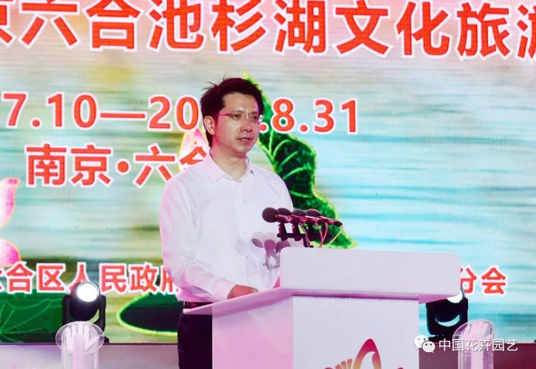 澳門六盒寶典開獎結(jié)果，揭秘彩票背后的秘密，澳門六盒寶典開獎揭秘，彩票背后的秘密大公開