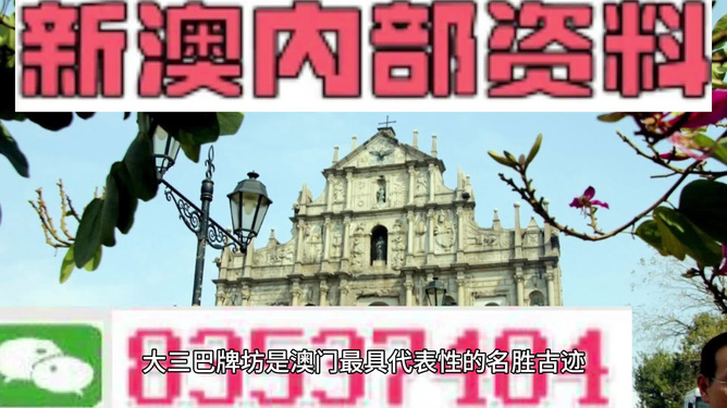 澳門今晚精準(zhǔn)四不像游戲，揭秘背后的秘密與策略探討，澳門精準(zhǔn)四不像游戲揭秘與策略探討，今晚的秘密之戰(zhàn)