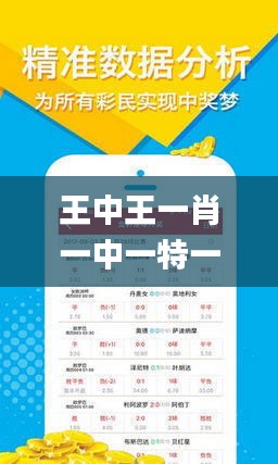 王中王與生肖揭秘，探尋王中王打一肖的神秘面紗，王中王與生肖之謎，揭秘神秘面紗下的生肖秘密