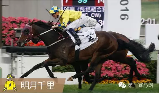 香港馬，探索賽馬運動的魅力與傳奇數(shù)字7777788888，香港賽馬，探索魅力與傳奇數(shù)字7777788888的傳奇故事