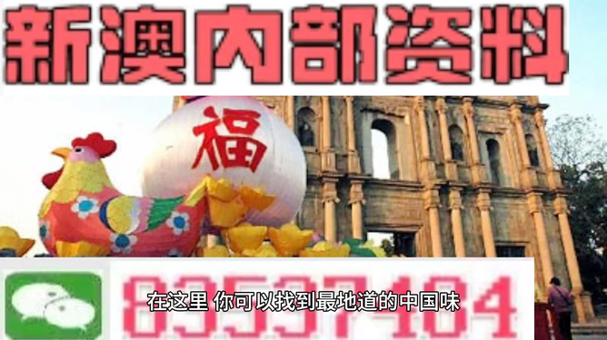 新澳門精準(zhǔn)資料大全，管家婆料解析與探索，澳門精準(zhǔn)資料大全，管家婆料解析與深度探索