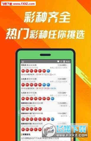 王中王493333最新版，全面解析與SEO優(yōu)化指南，王中王493333最新版解析與SEO優(yōu)化攻略