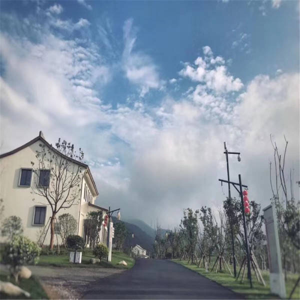 新奧今晚開(kāi)一肖一特講解詞語(yǔ)，揭秘生肖與特碼的獨(dú)特魅力，揭秘生肖與特碼的獨(dú)特魅力，新奧今晚開(kāi)一肖一特講解詞語(yǔ)專場(chǎng)