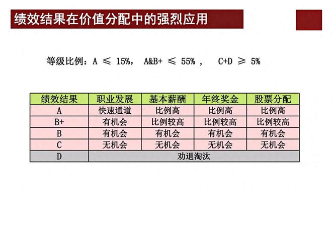 新門內(nèi)部資料，全年最新更新最快的秘密通道，新門內(nèi)部最新資料揭秘，全年快速更新秘密通道獨家曝光